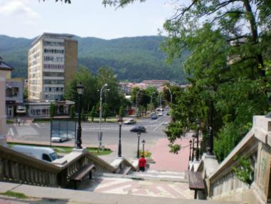 Negulesti
